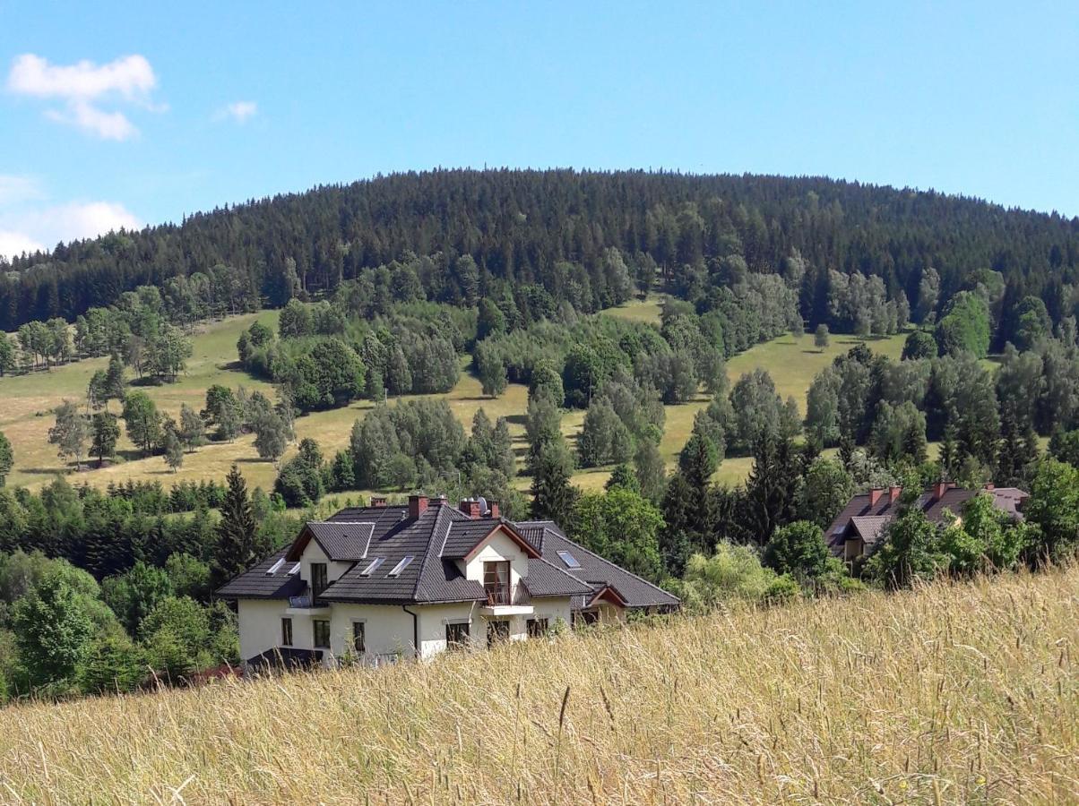 Apartamenty Dom Na Wzgorzu Gardenia Stronie Śląskie Dış mekan fotoğraf